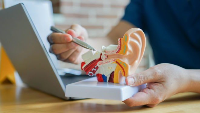 A model of the ear shown during a hearing exam at Taylor Hearing Centers in Arkansas. 